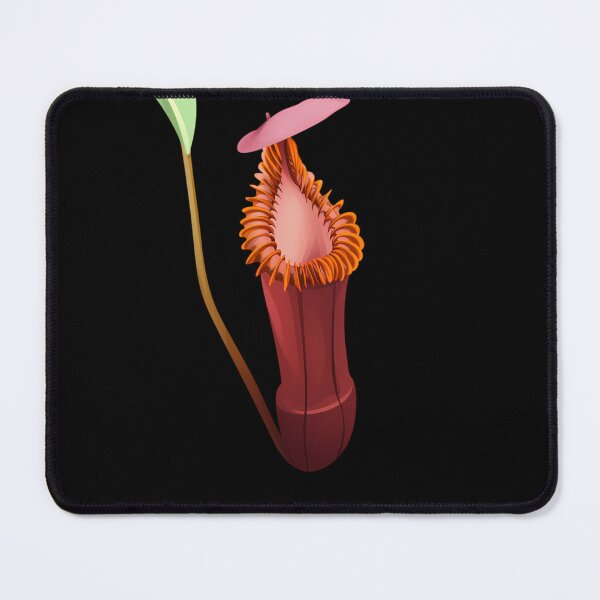 Item preview, Nepenthes Edwardsiana  Carnivorous Plant  Pitcher Plant  	 designed and sold by rxaldabjoxr38.