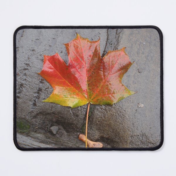Item preview, 2011-09-20 : Autumnal colours designed and sold by 'ö-Dzin Tridral.