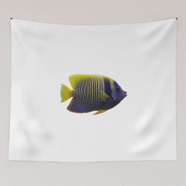 Item preview, Emperor Angelfish: The Underwater Majesty designed and sold by KnlDsgn.