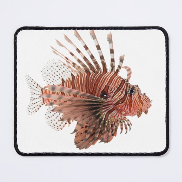 Item preview, Lionfish: The feathered hunter designed and sold by KnlDsgn.