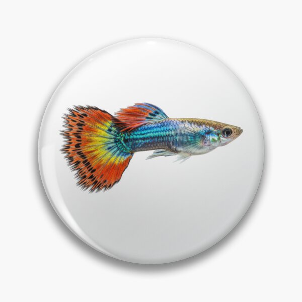 Item preview, Guppy: Colorful tail designed and sold by KnlDsgn.