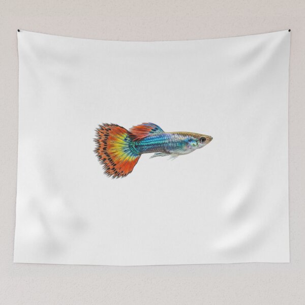 Item preview, Guppy: Colorful tail designed and sold by KnlDsgn.