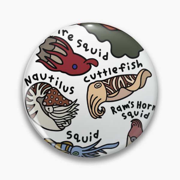 Item preview, Cephalopod Orders - Full Series (Common Name Version) 	 designed and sold by qcnwgumej71.