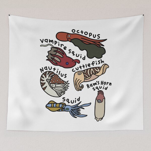Item preview, Cephalopod Orders - Full Series (Common Name Version) 	 designed and sold by qcnwgumej71.