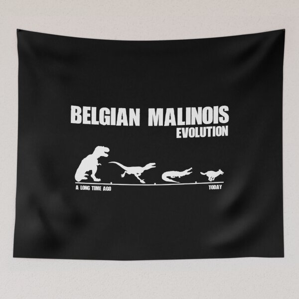 Item preview, Belgian Malinois Evolution - Maligator Maliraptor Gift designed and sold by MelanieCarol.