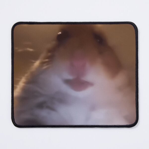 Aperçu de l'œuvre Dank Meme Hamster regardant devant la caméra créée et vendue par OrnelLuna.