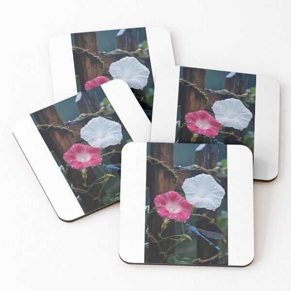 Item preview, •	Blumen im Regen – Frische & Hoffnung 	•	Flowers in the Rain – Renewal & Beauty 	•	Regentropfen auf Blüten – Leben & Licht designed and sold by Yaroplanner.