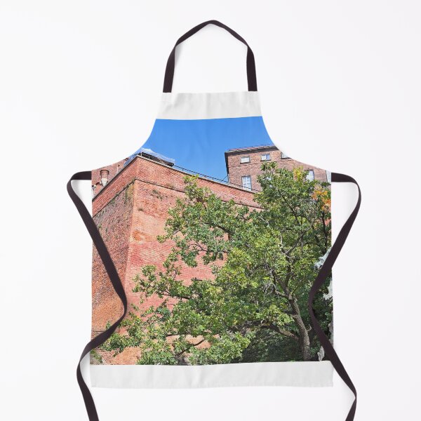 Item preview, Dragon spits fire under Wawel castle, Krakow, Poland designed and sold by goceris.