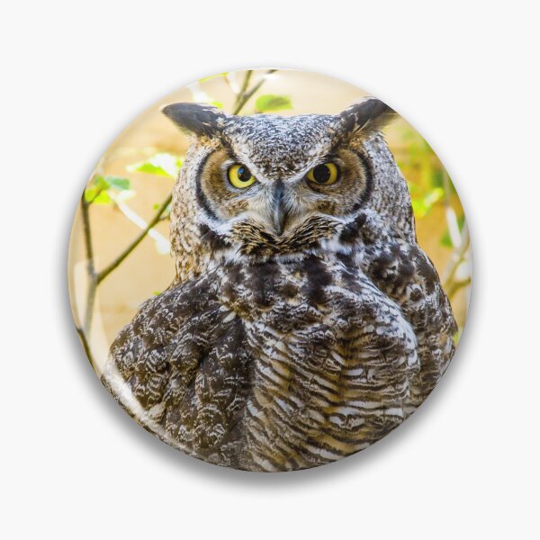 Item preview, Great Horned Owl designed and sold by Dalyndigital Photography.