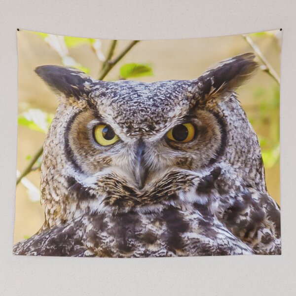 Item preview, Great Horned Owl designed and sold by Dalyndigital Photography.