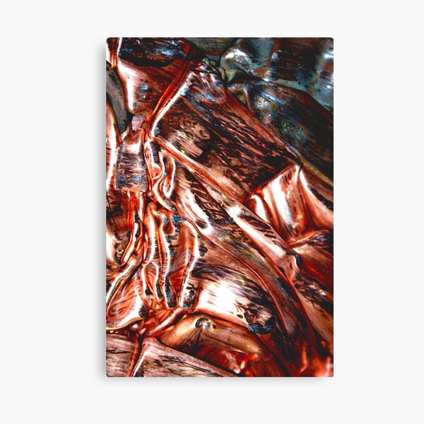 Copper in Abstract Canvas Print