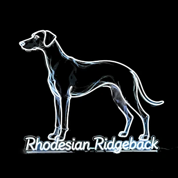 Vorschaubild zum Design Neon Rhodesian Ridgeback von forget45studio