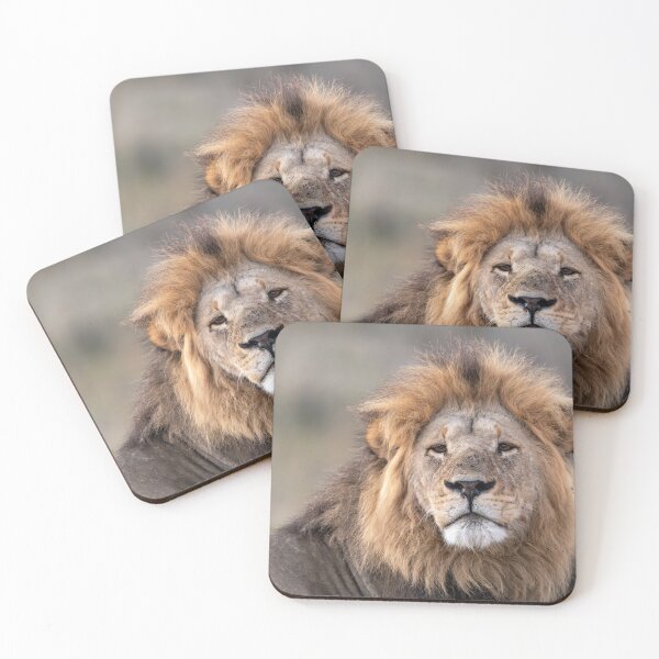 Item preview, Waziba the Lion -  Legendary Savuti Brother of Sekoti, Romeo and Pretty Boy 2 designed and sold by DavideAntoniani.