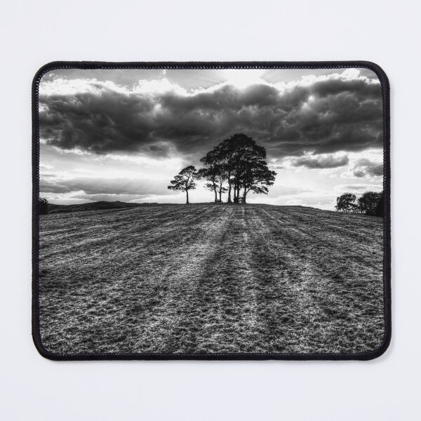 Item preview, Dramatic Clouds Over A Copse of Trees designed and sold by Paul Thompson Photography.