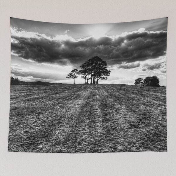 Item preview, Dramatic Clouds Over A Copse of Trees designed and sold by Paul Thompson Photography.