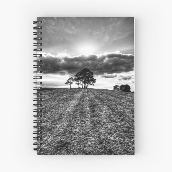 Item preview, Dramatic Trees on Horizon at Sunset In Skipton designed and sold by Paul Thompson Photography.