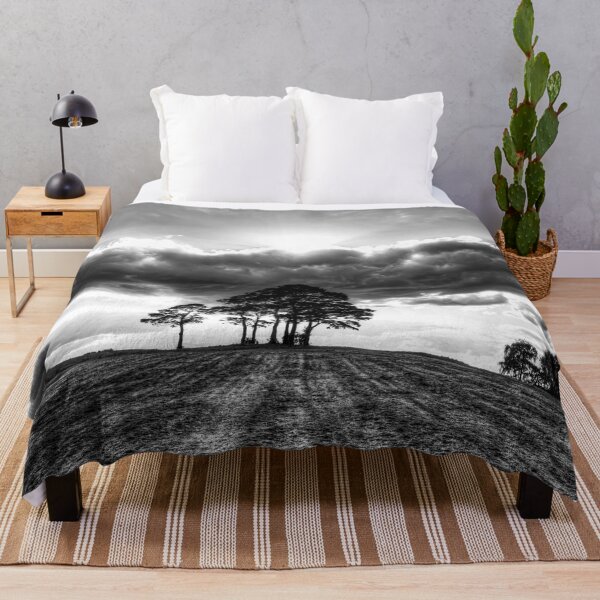 Item preview, Dramatic Trees on Horizon at Sunset In Skipton designed and sold by Paul Thompson Photography.