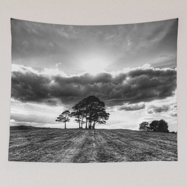Item preview, Dramatic Trees on Horizon at Sunset In Skipton designed and sold by Paul Thompson Photography.
