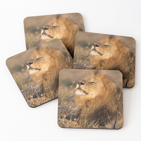 Item preview, Savuti’s Waziba – The Proud Lion of Botswana’s Iconic Dynasties designed and sold by DavideAntoniani.