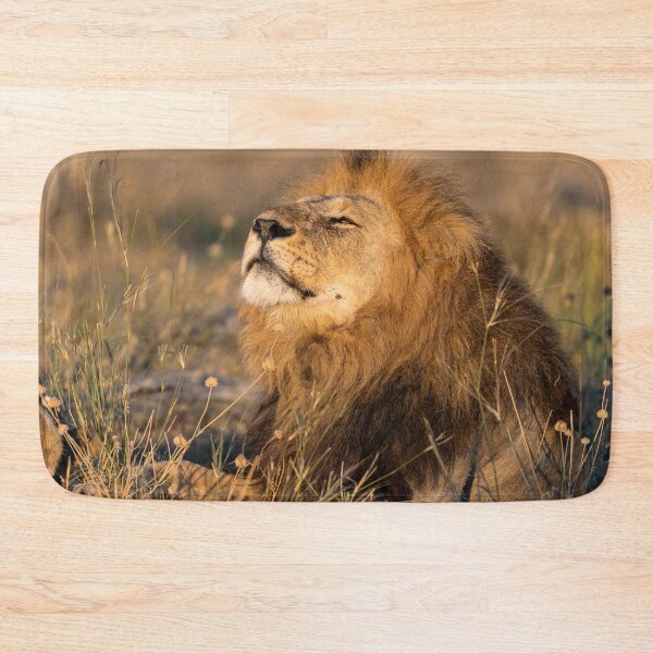 Item preview, Savuti’s Waziba – The Proud Lion of Botswana’s Iconic Dynasties designed and sold by DavideAntoniani.