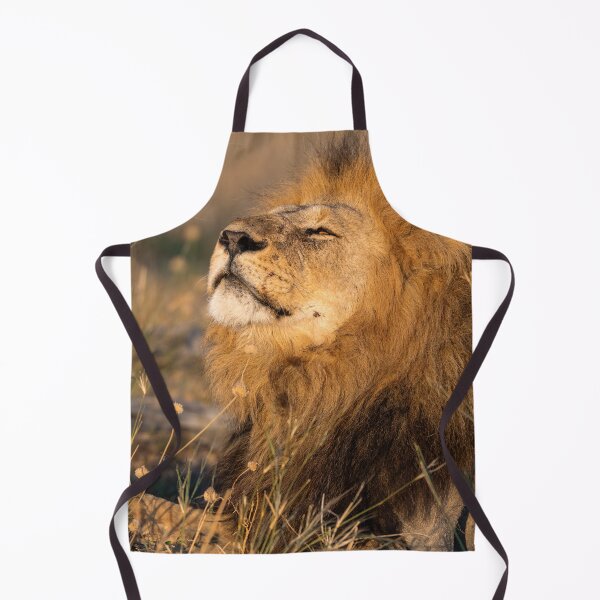 Item preview, Savuti’s Waziba – The Proud Lion of Botswana’s Iconic Dynasties designed and sold by DavideAntoniani.