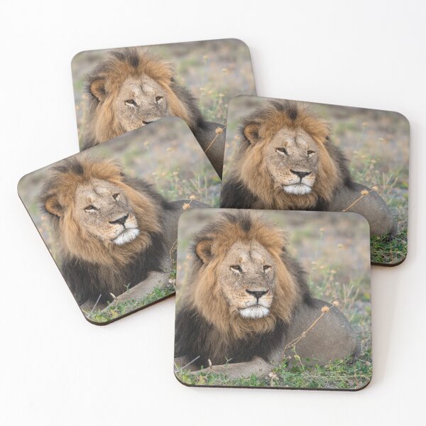 Item preview, Waziba – Majestic Male Lion of the Savuti Pride designed and sold by DavideAntoniani.