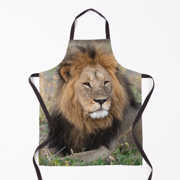 Item preview, Waziba – Majestic Male Lion of the Savuti Pride designed and sold by DavideAntoniani.