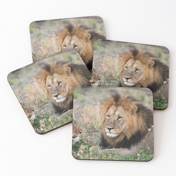Item preview, Waziba – Majestic Male Lion of the Savuti Pride designed and sold by DavideAntoniani.