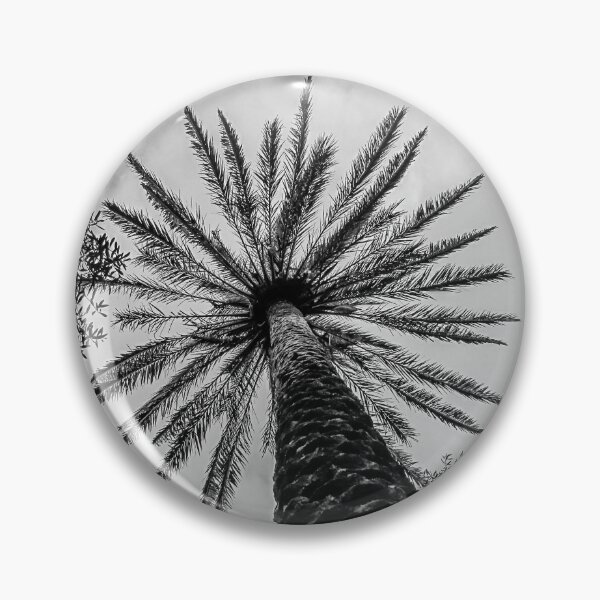Item preview, Low Angle View Of A Palm Tree Canopy Surrounded By Trees In Black And White designed and sold by Nmallia.