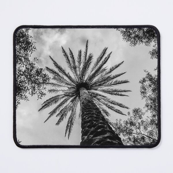 Item preview, Low Angle View Of A Palm Tree Canopy Surrounded By Trees In Black And White designed and sold by Nmallia.