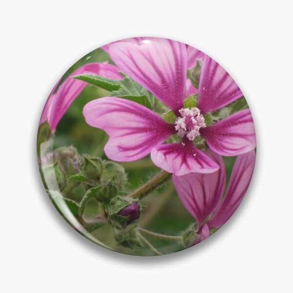 Item preview, Close-Up Of Pink Malva Flowers In A Lush Green Garden Blooming Beauty designed and sold by Nmallia.