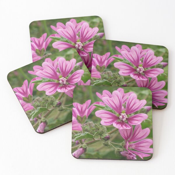 Item preview, Close-Up Of Pink Malva Flowers In A Lush Green Garden Blooming Beauty designed and sold by Nmallia.