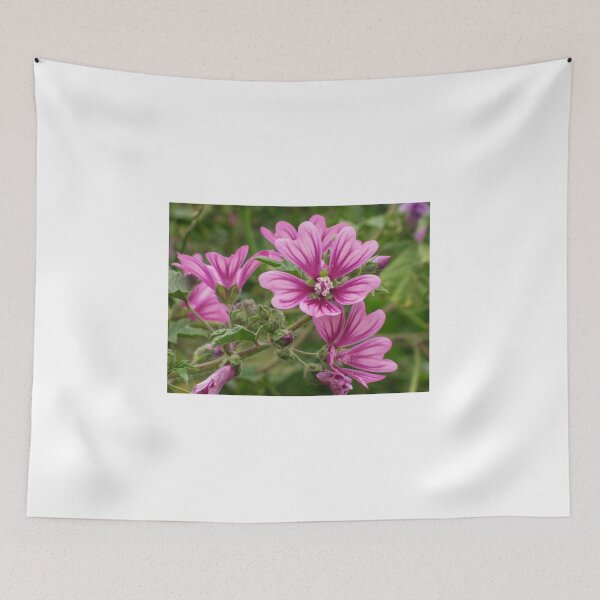 Item preview, Close-Up Of Pink Malva Flowers In A Lush Green Garden Blooming Beauty designed and sold by Nmallia.