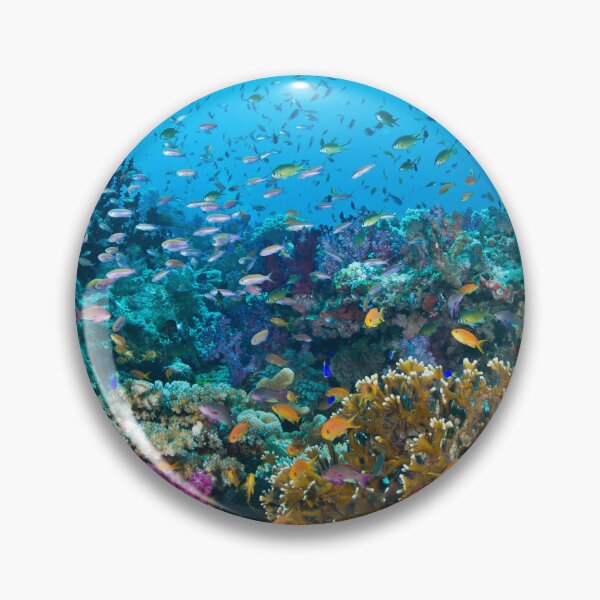 Item preview, Arrecife Fantasea designed and sold by Mark Rosenstein.