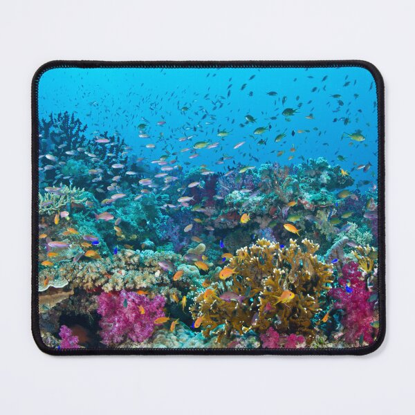 Item preview, Fantasea Reef designed and sold by Mark Rosenstein.