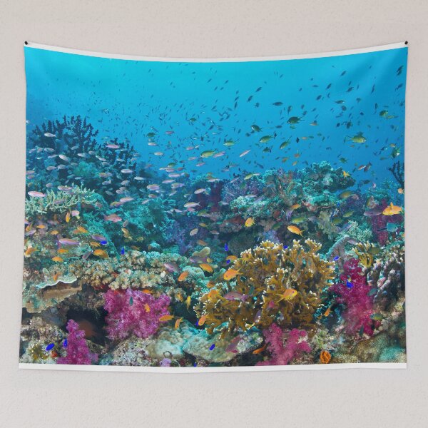Item preview, Fantasea Reef designed and sold by Mark Rosenstein.