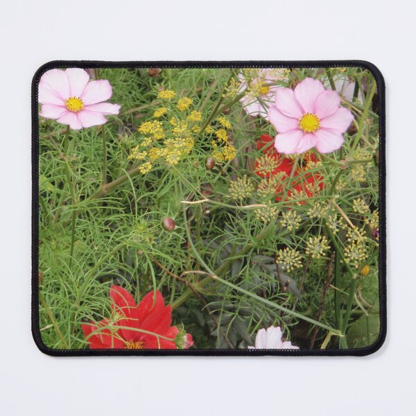 Item preview, 2011-09-21: Flowers in Friary Gardens designed and sold by 'ö-Dzin Tridral.