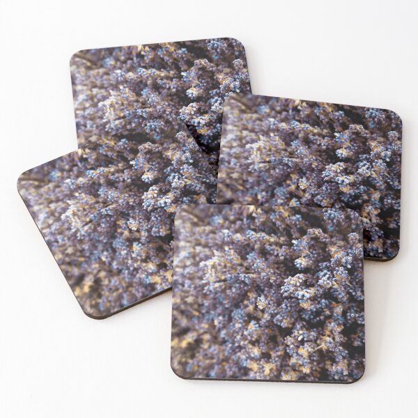 Item preview, Close up of lavender designed and sold by mortal perspective .