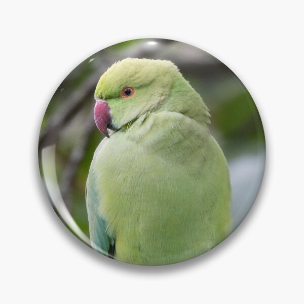 Item preview, Parakeet sitting in a tree.  designed and sold by fellbaum-art.