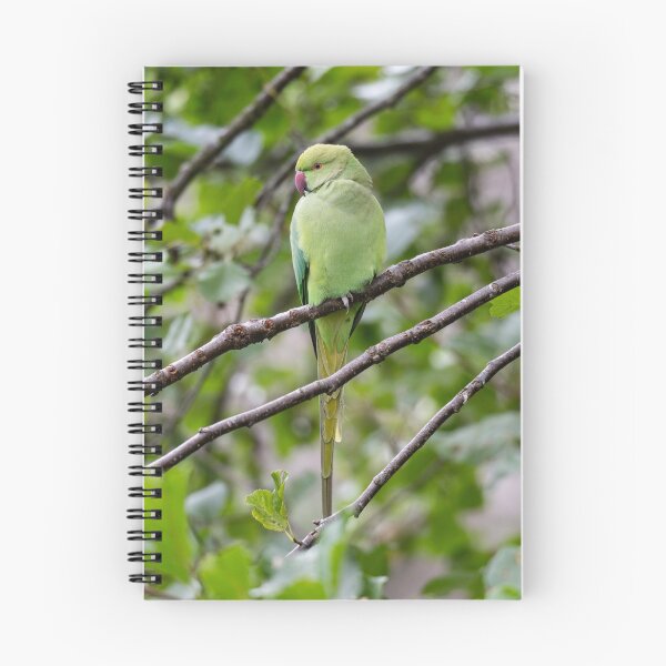 Item preview, Parakeet sitting in a tree. designed and sold by fellbaum-art.