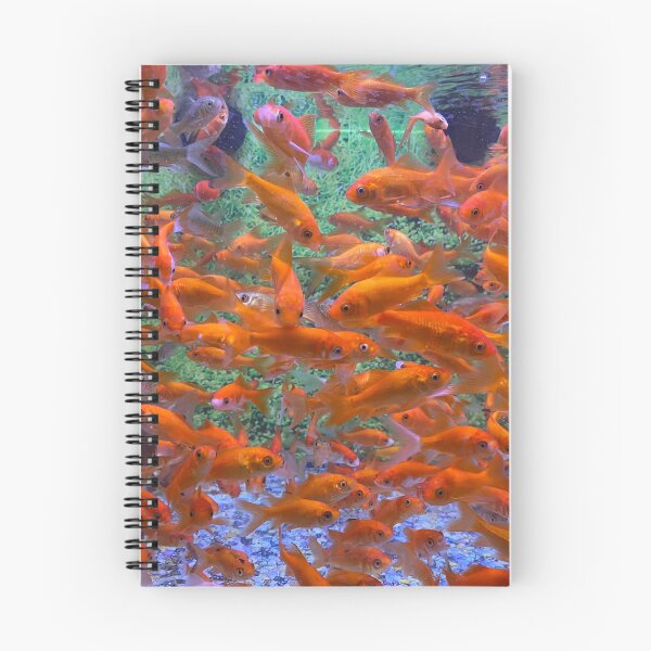 Item preview, Busy Fish designed and sold by GrowthUP.