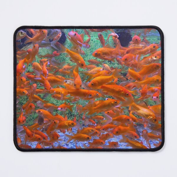 Item preview, Busy Fish designed and sold by GrowthUP.