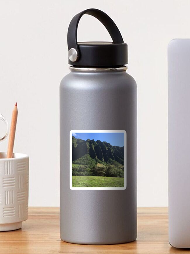 Eco-Friendly Cups, Flasks and Bottles You Can Buy on O'ahu