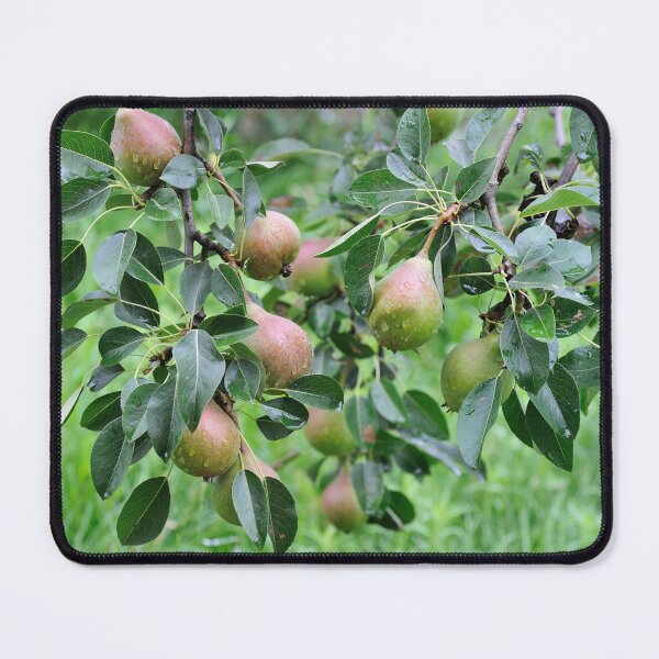 Item preview, Cluster of Pears with Raindrops on Branch designed and sold by printempstg.
