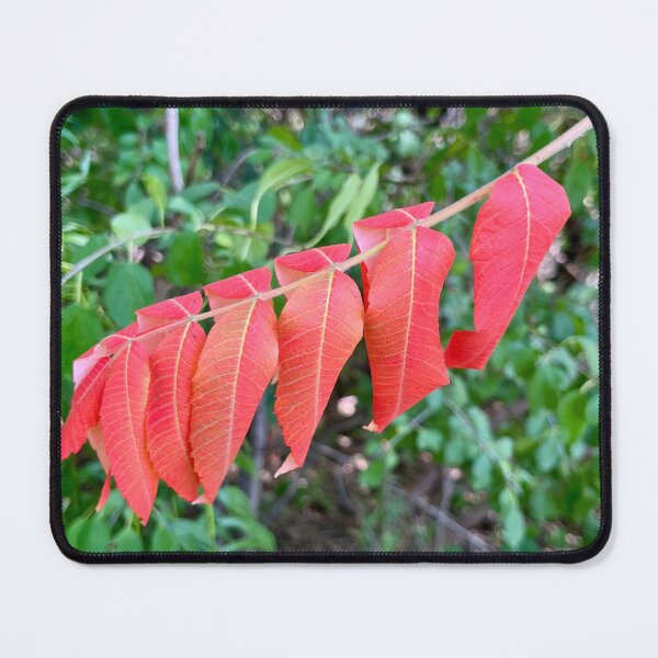 Item preview, Notes of Crimson Glow designed and sold by Lana Magnolia.