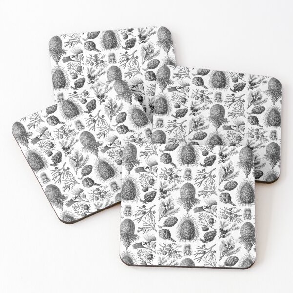 Item preview, Ernst Haeckel Conifera Black and White Pinecones designed and sold by aimeewilson.