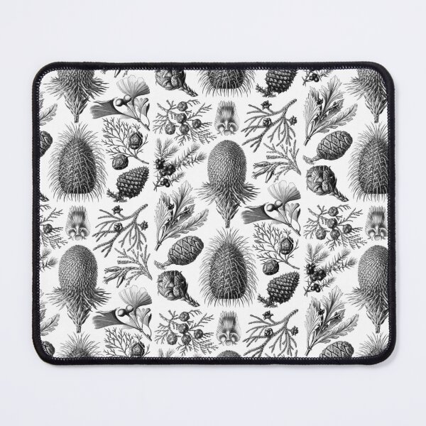 Item preview, Ernst Haeckel Conifera Black and White Pinecones designed and sold by aimeewilson.
