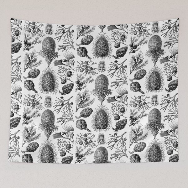 Item preview, Ernst Haeckel Conifera Black and White Pinecones designed and sold by aimeewilson.