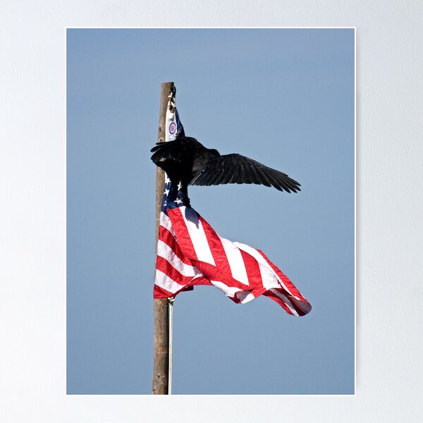 Item preview, Not so steady perch designed and sold by Buzzimage.