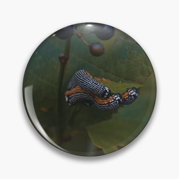 Item preview, The Turbulent Phosphila Caterpillar  designed and sold by Hazardous Dreams Media.